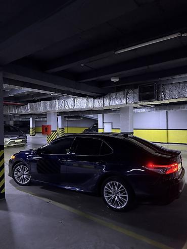 шины комплект: Toyota Camry: 2018 г., 2.5 л, Автомат, Бензин, Седан — 7