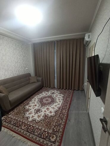 1 комнатные квартира в аренду: 1 комната, 25 м², Элитка, Евроремонт