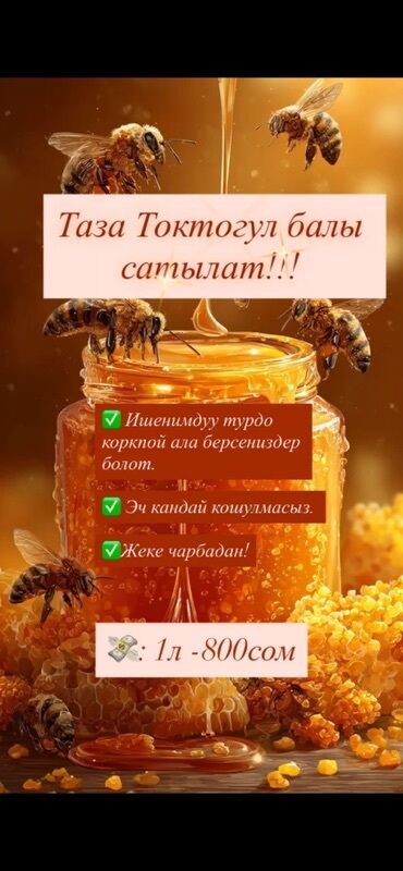 молоко коровье: Натуральный токтогульский мед, собранный с частного хозяйства. Этот