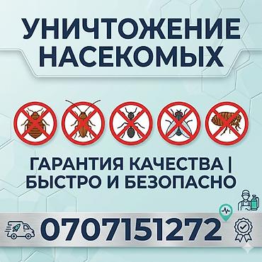 электро набор: Дезинфекция, дезинсекция, | Блохи, Муравьи, Мыши и крысы, | Подвал, погреб, Транспорт, Дома — 1