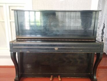 Akkordeonlar: Piano, Belarus, Akustik