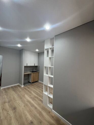 арендовать квартиру для офиса: 1 комната, 26 м², Элитка, 1 этаж, Дизайнерский ремонт
