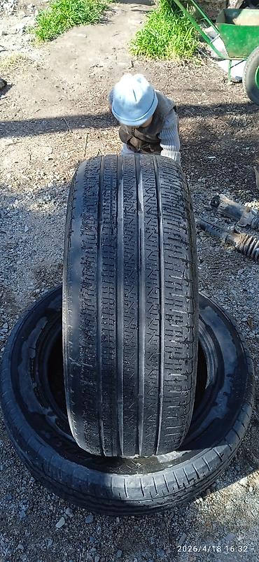 Шины: Шины — 10