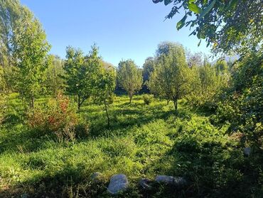 Продажа домов: Дом, 64 м², 3 комнаты, Собственник, Косметический ремонт — 13