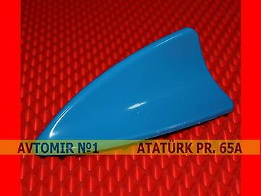 Aksesuarlar və tüninq: Dekorativ antenna goy 🚙🚒 Ünvana və Bölgələrə ödənişli çatdırılma — 1