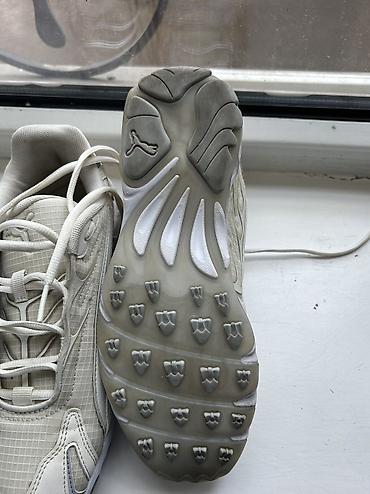 puma 39: Кроссовки, 38, 38.5, Puma, Новый, цвет - Бежевый, Бесплатная доставка — 2