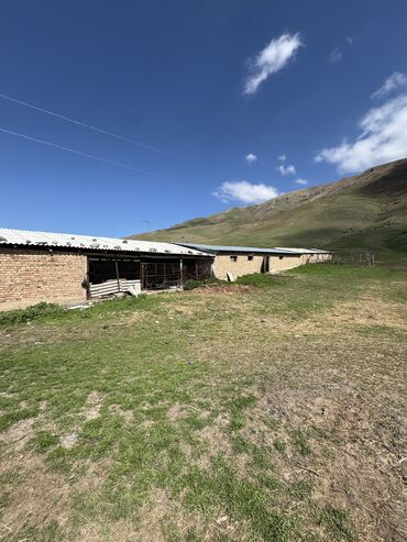 Продажа участков: 160 соток, Для сельского хозяйства, Красная книга, Тех паспорт — 2