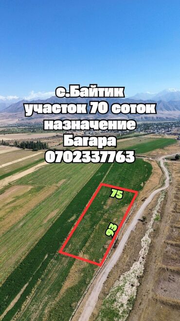 участок дом в селе байтик: 70 соток, Для бизнеса