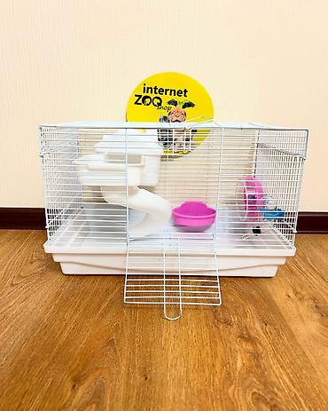 Зоотовары: Продаются клетки для хомячков, кроликов, морских свинок, ежей. Есть — 13