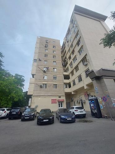 atatürk: Tələbə və işgüzar bəylər və xanmların nəzərinə. Gənclik metrosu — 1