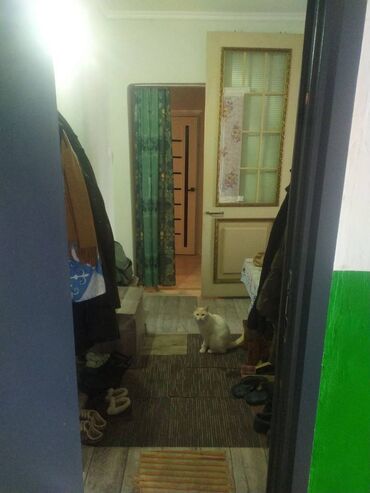 Продажа квартир: 2 комнаты, 60 м² — 3