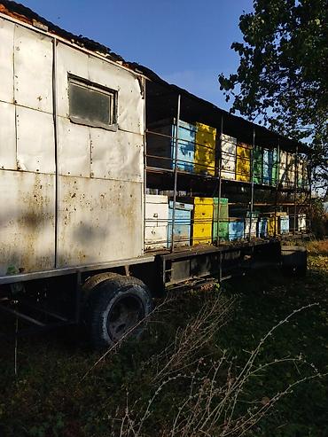 стрим решетка: Передвижная пасека на прицепе (пчеловодческий павильон) - Основа — 3