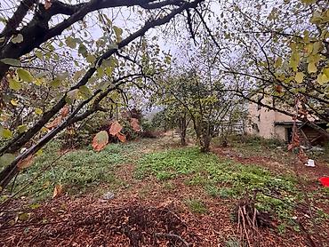çuxuryurd ev satılır: 16 sot, Tikinti, Mülkiyyətçi, Kupça (Çıxarış) — 2