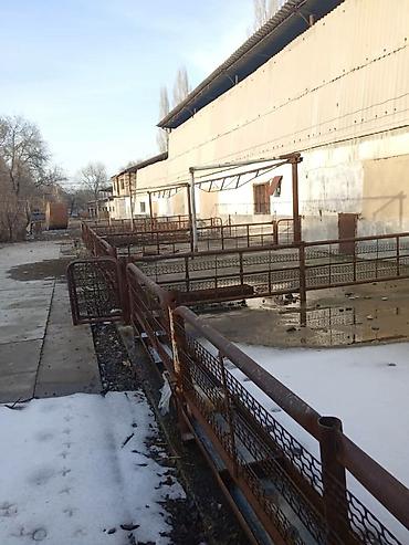 Продажа сельхоз предприятий: Продается производственная база с фермой свинарником at lalafo.kg — 5 Продажа сельхоз предприятий: Продается производственная база с фермой свинарником — 5