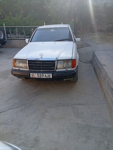 Mercedes-Benz: Mercedes-Benz W124: 1990 г., 2.5 л, Механика, Дизель, Седан