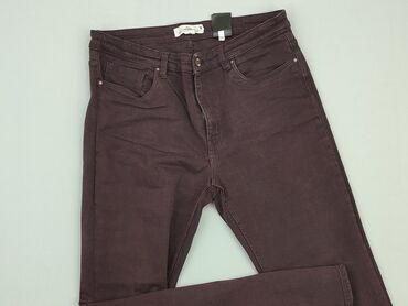 Spodnie: Jeansy dla mężczyzn, L, H&M, stan - Bardzo dobry