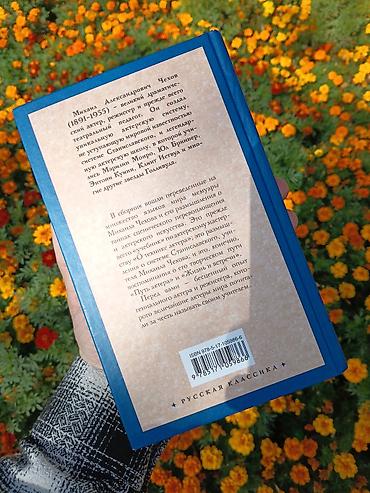 Книги и журналы: Русская литература, 11 класс, Новый, Платная доставка — 3