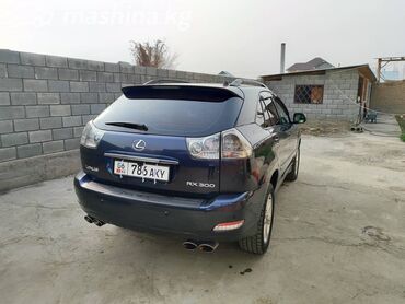 lexus внедорожник: Lexus RX: 2004 г., 3 л, Автомат, Газ, Внедорожник