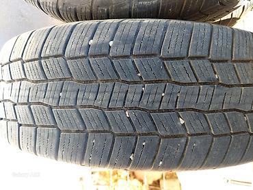 выбор номера о: Комплект из 4 автомобильных шин General Tire Altimax A/S 365 — 2