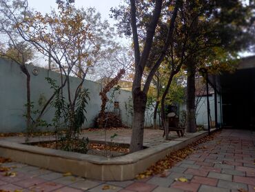 Restoran, kafelər: Tecili Heyder Eliyev prospektinde Wefa stadiondan uzu Korogluya esas — 3