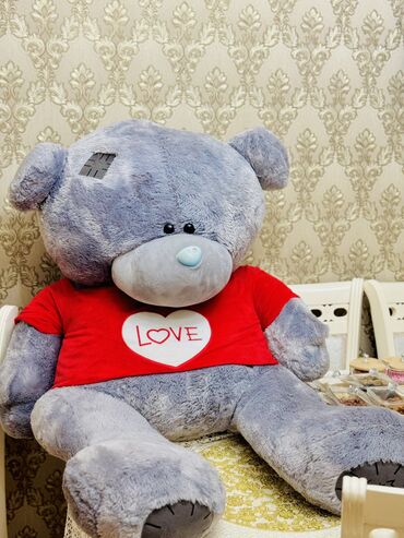 profil üçün şəkillər oğlan: Teddy yeni kimidir