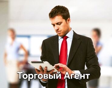 Торговые агенты: Требуется Торговый агент, График: Шестидневка, 1-2 года опыта, Карьерный рост, Полный рабочий день