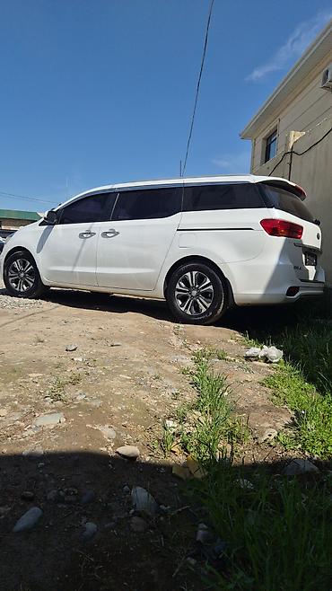 Kia: Kia Carnival: 2019 г. — 14