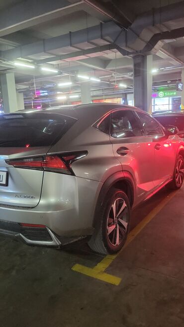 Lexus: Lexus NX: 2018 г., 2.5 л, Автомат, Гибрид, Кроссовер — 11