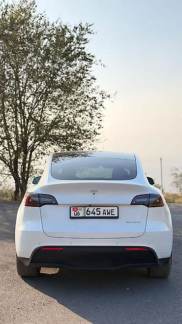 byd song max: Tesla Model Y: 2022 г., Электромобиль, Кроссовер — 6