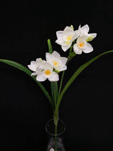 долларовый цветок: Цветок декоративный Нарцисс искусственный белый (ветка)