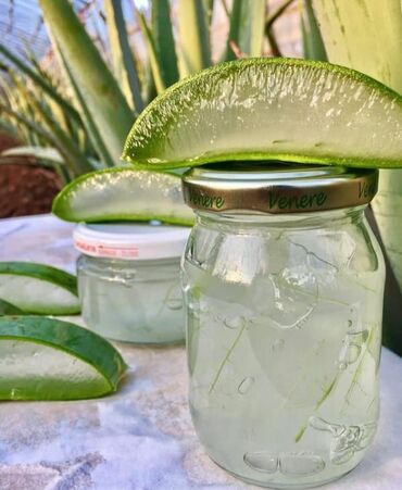 krem torbası: Aloe vera geli ( jeli ). Aloe vera bitkisinin daxilindəki jelrdən