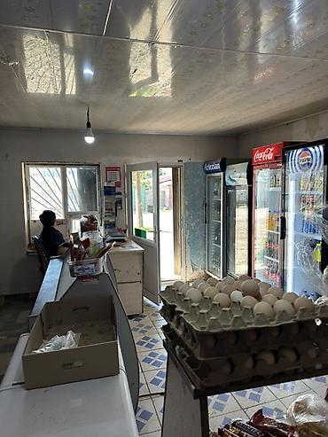 дойки ко: Срочно продается продуктовый магазин «Гулнара»❗❗❗ - Небольшой — 3