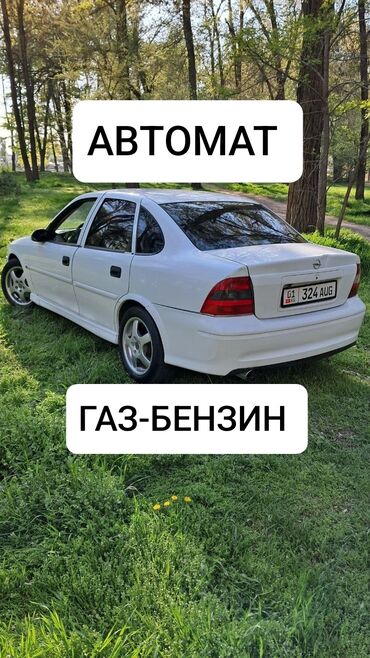 фары опель вектра б: Opel Vectra: 2000 г., 1.8 л, Автомат, Газ, Седан