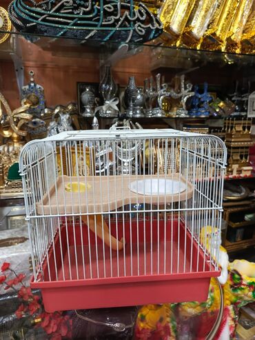 Yemlər: Quş yemləri 1-azn Qırmızı darı topdan 1azn Pərakəndə 1,50azn 1-kq — 29