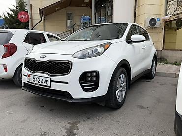 sportage 2021: Kia Sportage: 2019 г., 2.4 л, Автомат, Бензин, Кроссовер — 1
