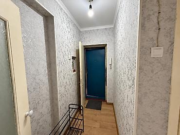 24: 2 комнаты, 46 м², Золотой квадрат Индивидуалка, 5 этаж, Косметический ремонт — 4