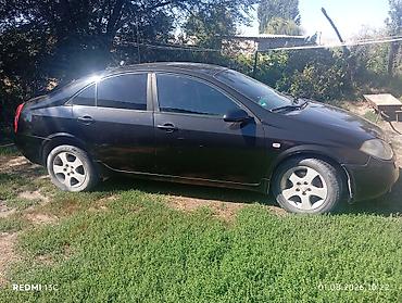 амир строй мерси: Nissan Primera: 2002 г., 0.2 л, Механика, Седан — 6