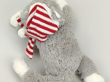 czapka ccc: Mascot Cat, condition - Very good