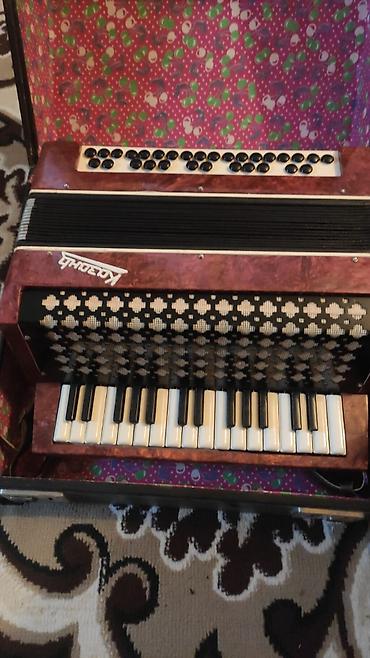 panda baligi: Harmoniya (akordeon) – Kazan Musiqi Alətləri Fabriki istehsalı Model — 1