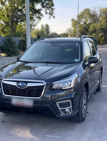 subaru 2018: Subaru Forester: 2018 г., 2.5 л, Вариатор, Бензин, Кроссовер