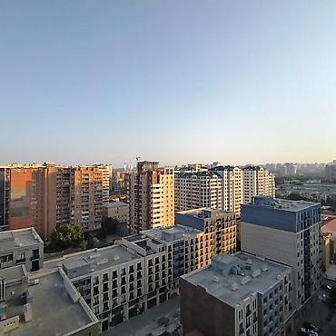 Квартиры: 1 комната, Новостройка, 31 м² — 9