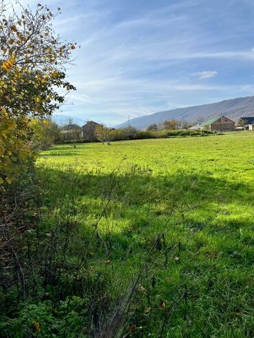 Torpaq sahələrinin satışı: 18 sot, Biznes üçün, Kupça (Çıxarış) — 7