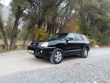 Hyundai: Hyundai Santa Fe: 2003 г., 2.4 л, Механика, Газ, Кроссовер