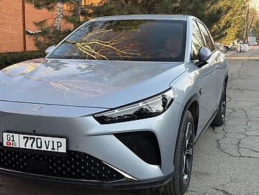 Другие автомобили: Hozon Neta L 2024 года свежо пригнан растаможен оформлен обьем 1.5 — 1