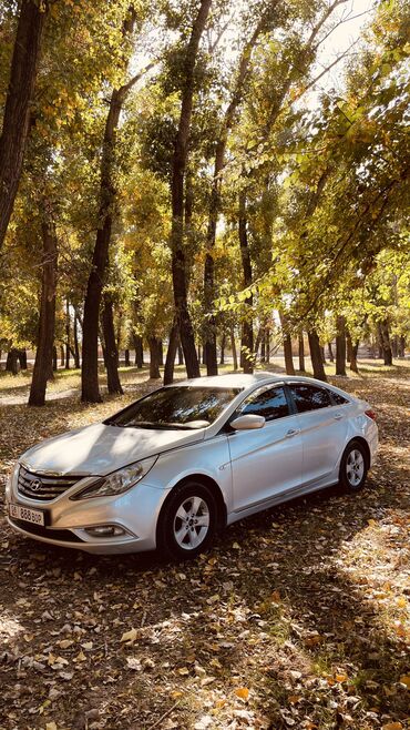 худай саната: Hyundai Sonata: 2010 г., 2 л, Автомат, Газ, Седан