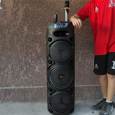 nakamichi: Аренда калонка () - Мощная напольная колонка с тремя крупными — 1