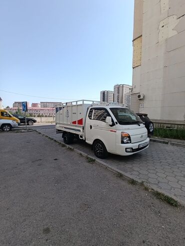 преобразователь для стрижки овец: Вывоз мусора вывоз мусора вывоз мусора вывоз мусора вывоз мусора вывоз
