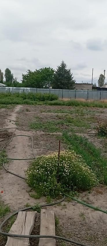 земельный участки: Продается жилой кирпичный дом 72 м.кв. на участке 15 соток по — 9