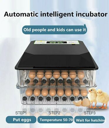inkubator aparatı: Zəmanət ilə