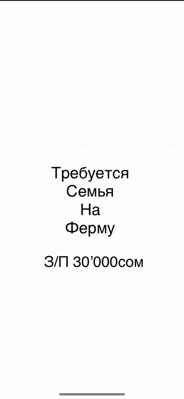 торговый агент с личным авто бишкек в Кыргызстан: Требуется семья на ферму,
Рабочие по уходу за скотом,
Малчы, жардамчы